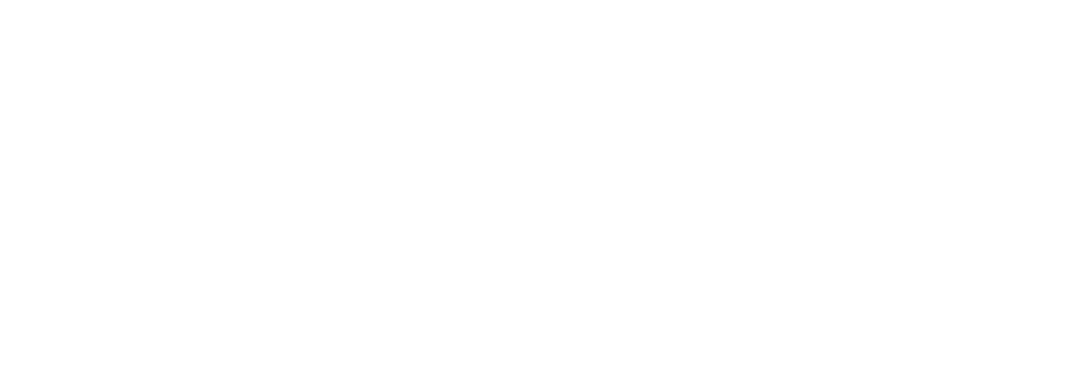 GENEVO DRIVING EXPIRIENCE